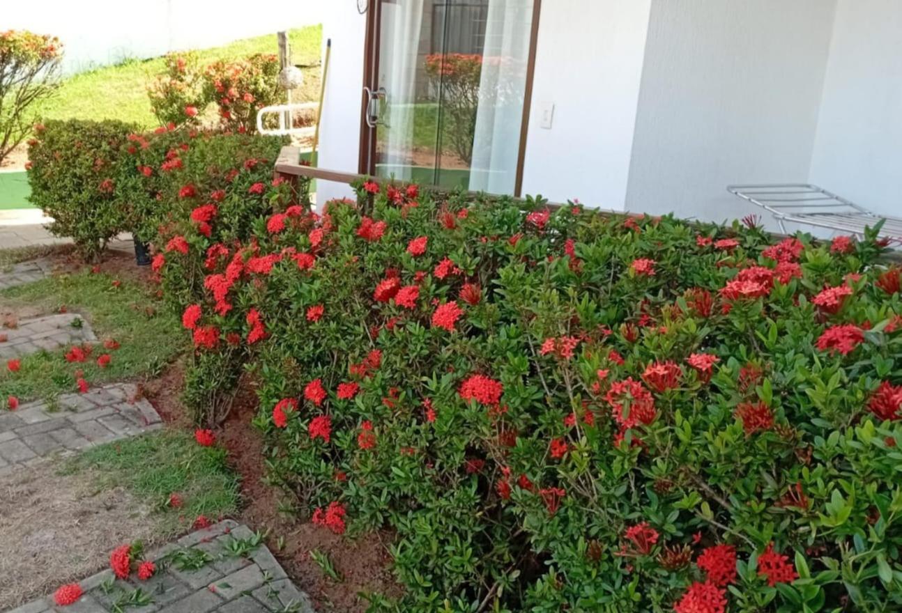 Flat Em Pipa - Brisas Do Amor Praia de Pipa Værelse billede